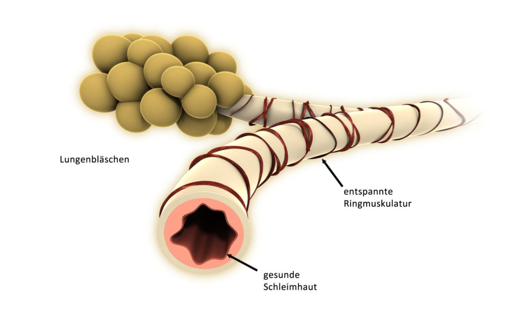 EDDIKS GRAFIK 3D Visualisierung, Werbung, Medizin